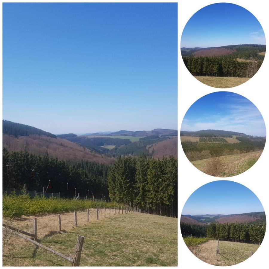 Ferienwohnung Parkblick Медебах Екстериор снимка